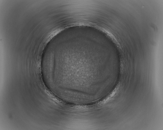 X0000112010977200908311131