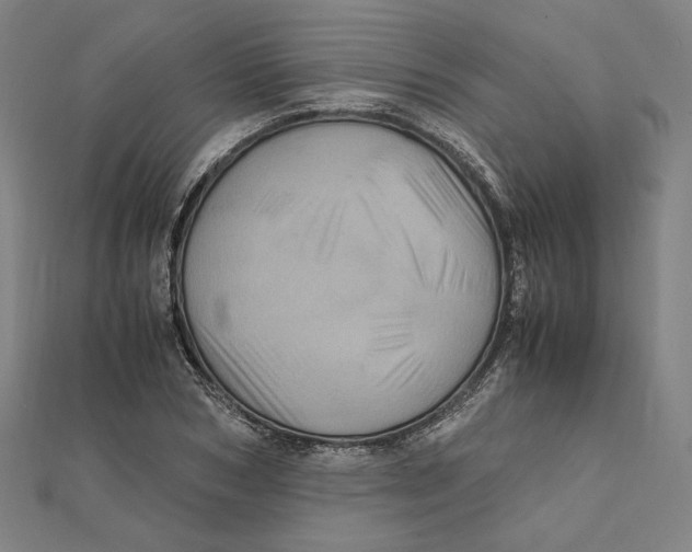 X0000112010978200908311131