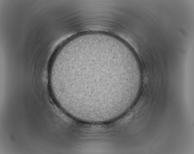 X0000112010979200908311131