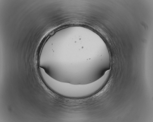 X0000112010981200908311131