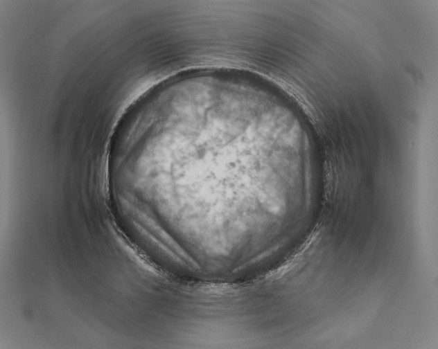 X0000112010982200908311131