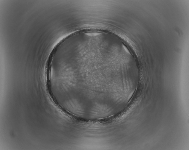 X0000112010983200908311131