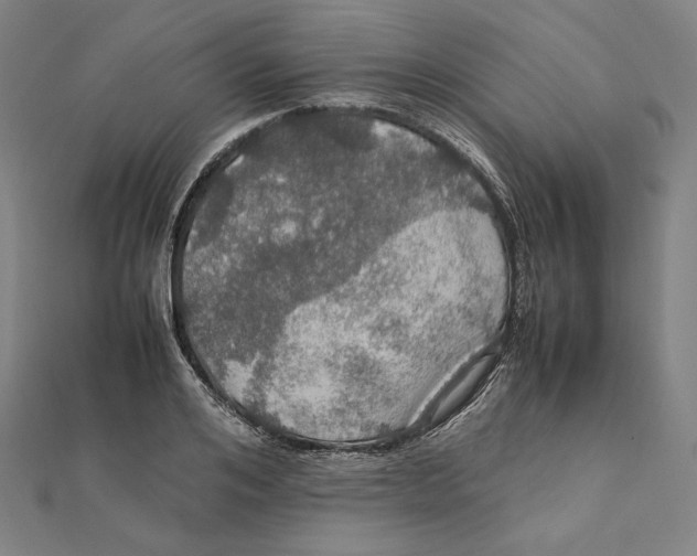 X0000112010984200908311131
