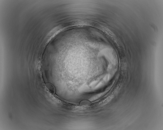X0000112010985200908311131