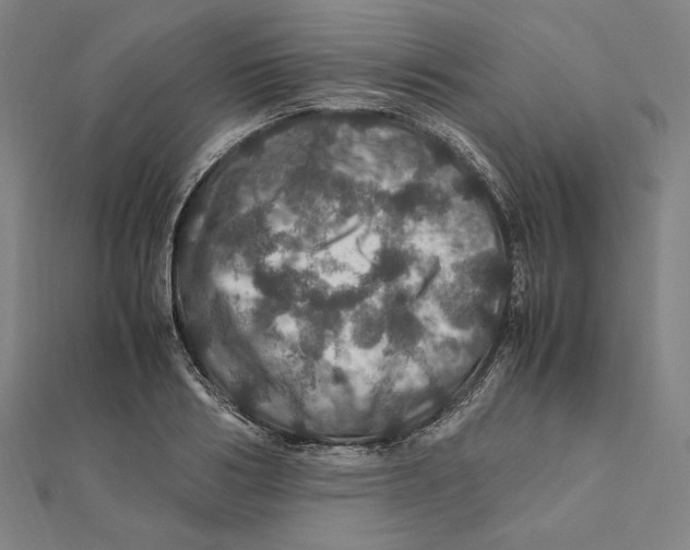 X0000112010986200908311131