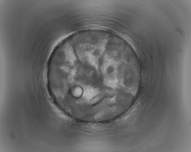 X0000112010987200908311131