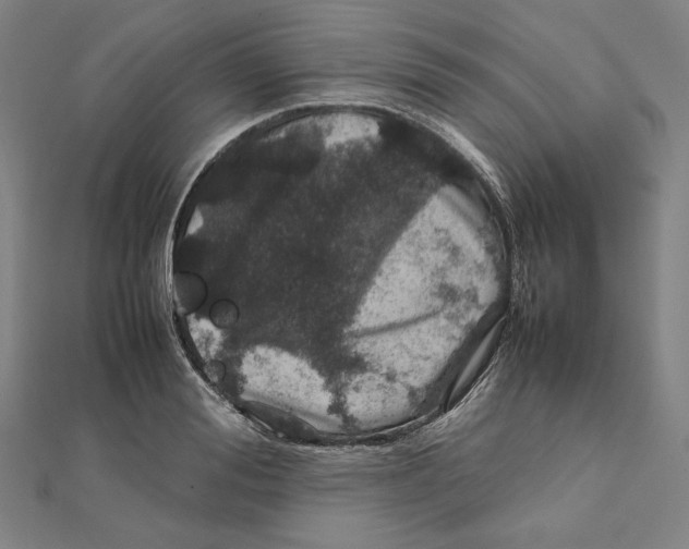 X0000112010988200908311131