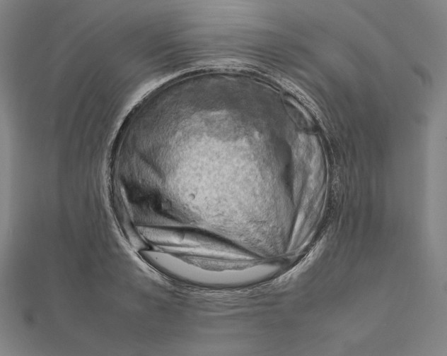 X0000112010989200908311131