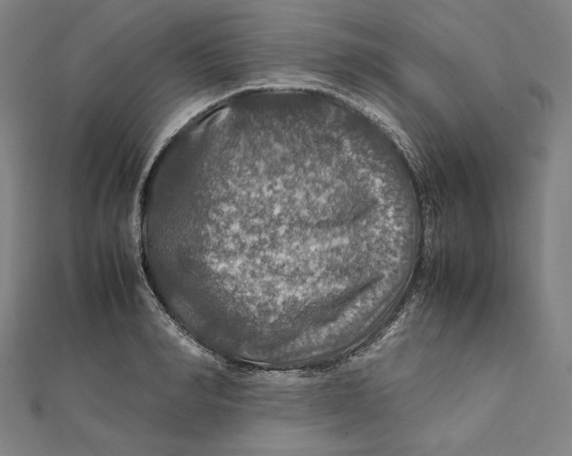 X0000112010990200908311131