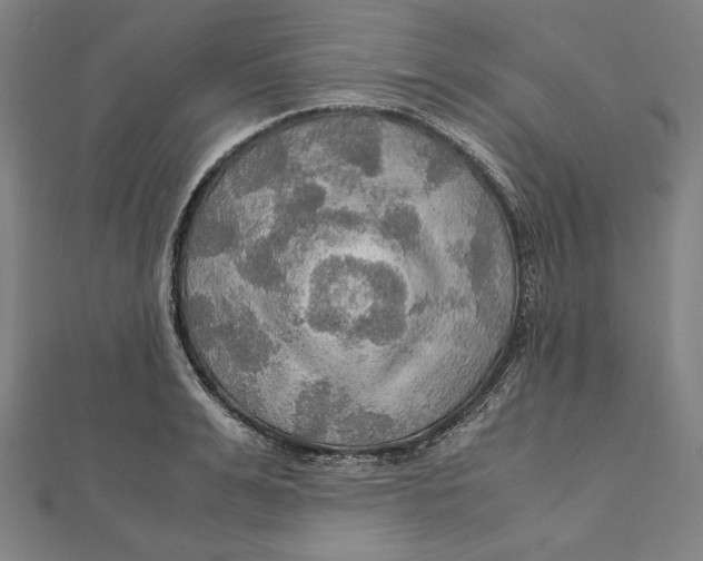 X0000112010991200908311131
