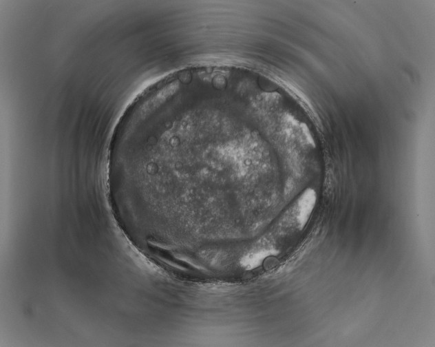 X0000112010992200908311131