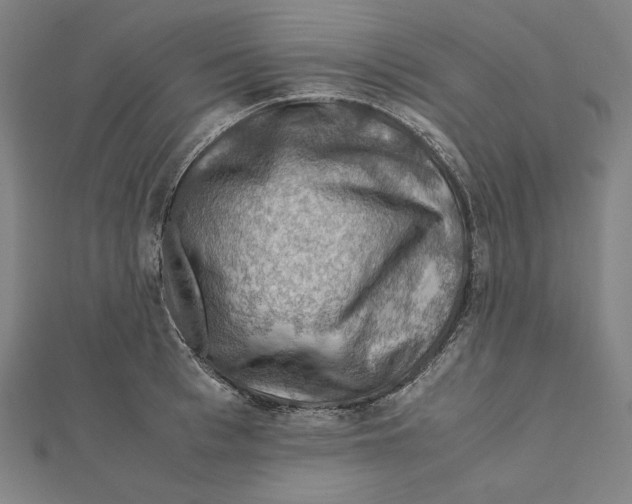X0000112010993200908311131