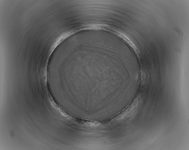 X0000112010994200908311131