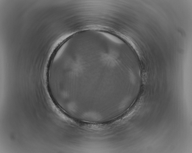 X0000112010995200908311131