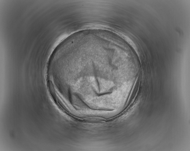 X0000112010997200908311131