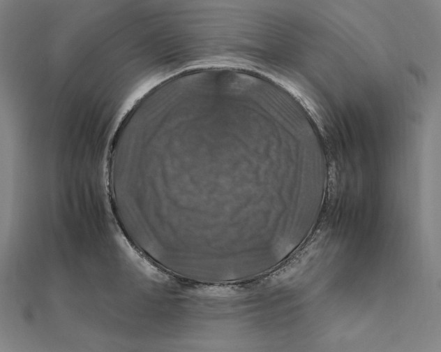 X0000112010998200908311130