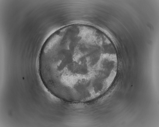 X0000112010999200908311130