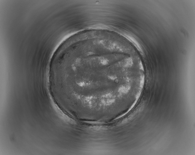 X0000112011000200908311130