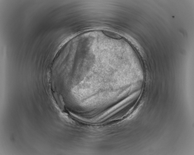 X0000112011001200908311130