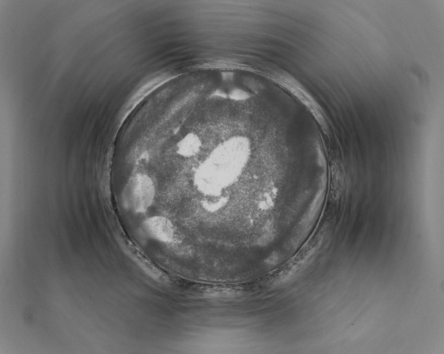 X0000112011002200908311130