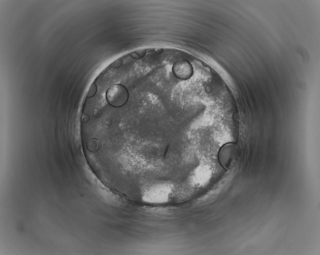 X0000112011004200908311130