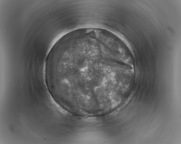 X0000112011006200908311130