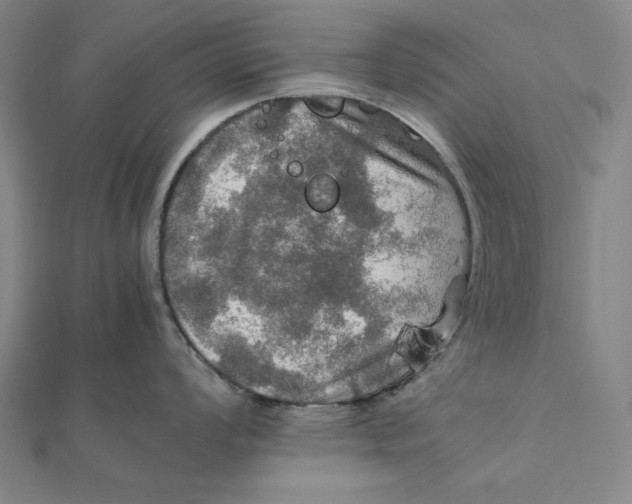 X0000112011008200908311130
