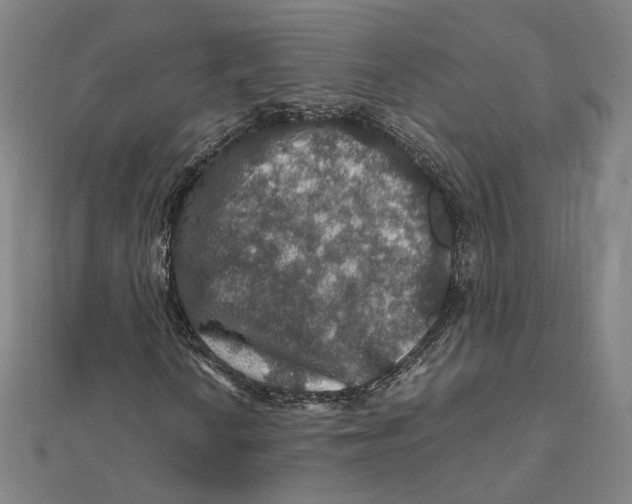 X0000112011010200908311130