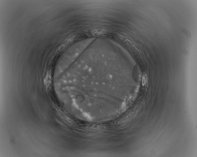 X0000112011011200908311130