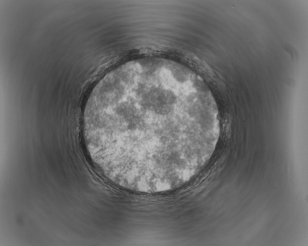 X0000112011012200908311130