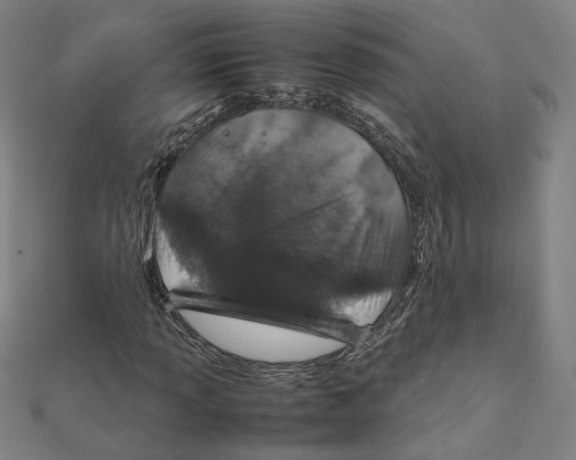 X0000112011013200908311130