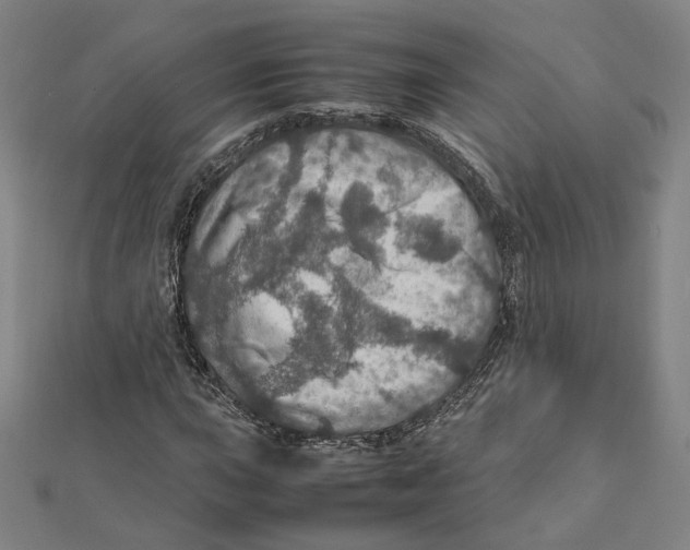 X0000112011015200908311130