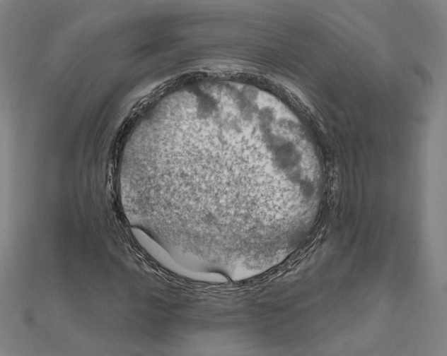 X0000112011016200908311130