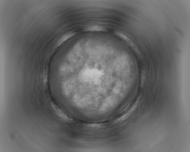 X0000112011017200908311130