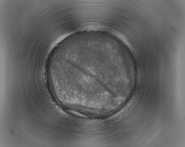 X0000112011018200908311130