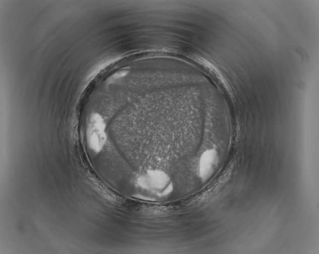 X0000112011019200908311130