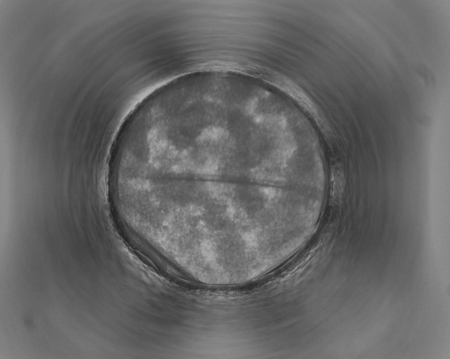 X0000112011020200908311130