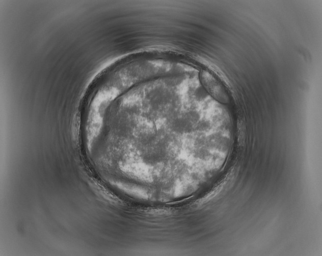 X0000112011021200908311130