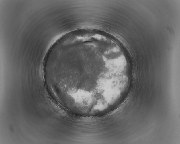 X0000112011022200908311130