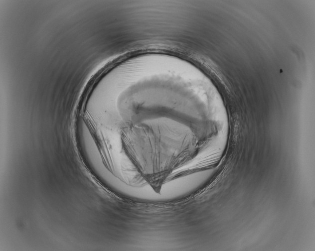 X0000112011024200908311130