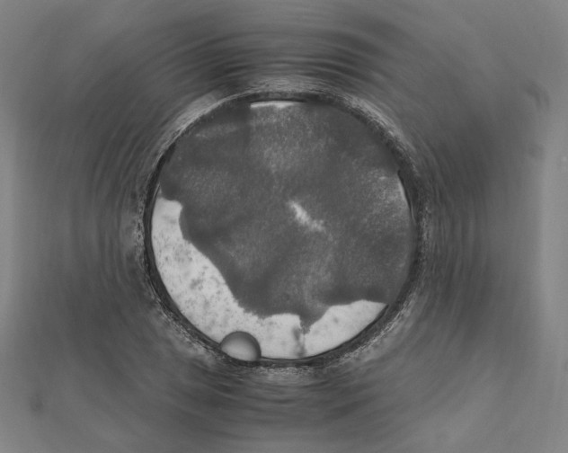 X0000112011025200908311130