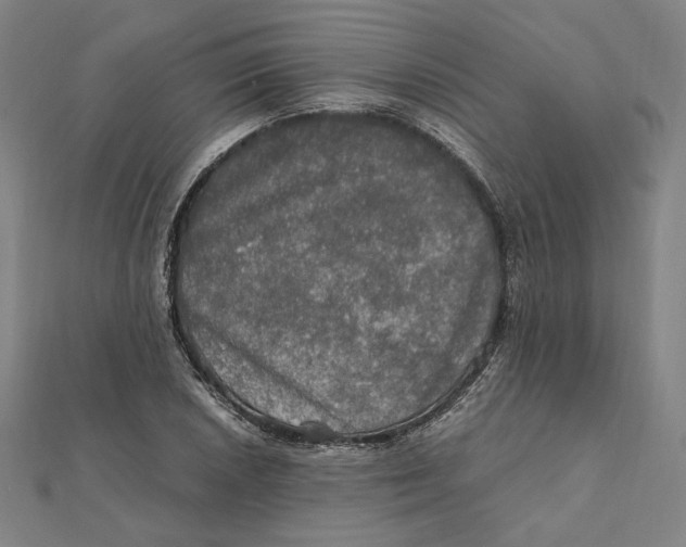 X0000112011026200908311130