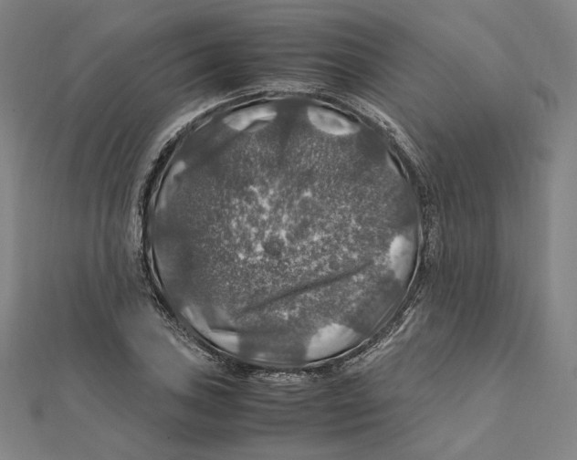 X0000112011027200908311130