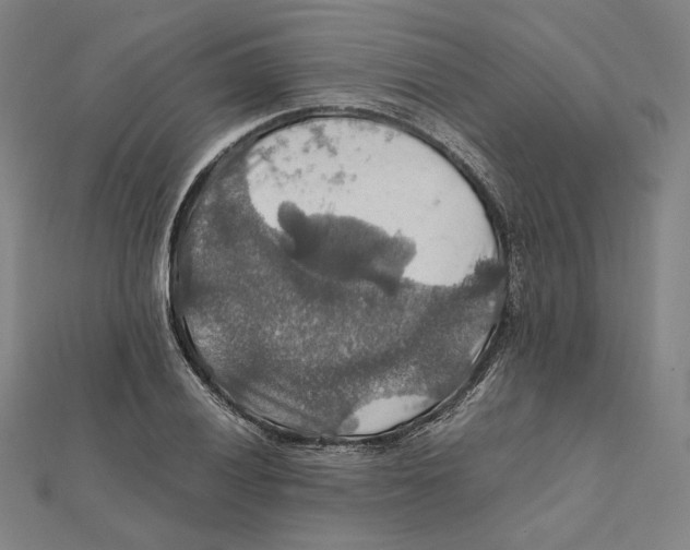 X0000112011028200908311130