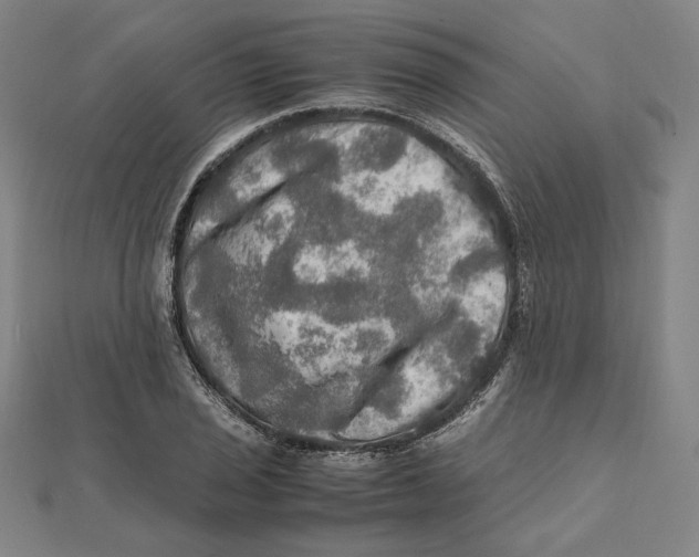 X0000112011029200908311130