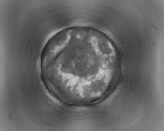 X0000112011030200908311130