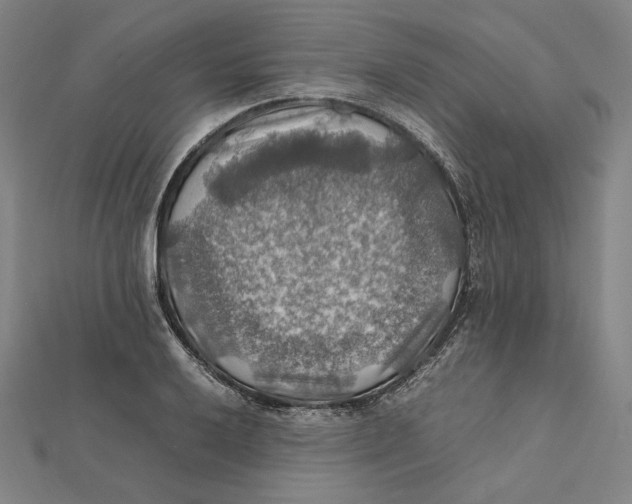 X0000112011032200908311130