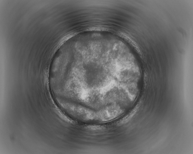 X0000112011033200908311130