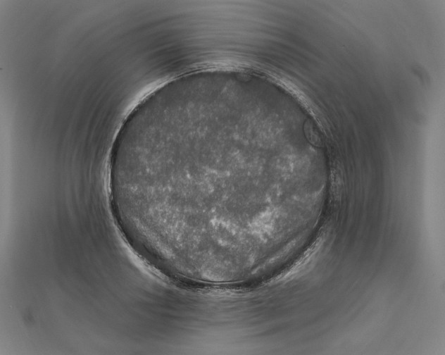 X0000112011034200908311130