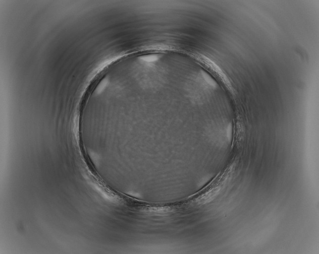 X0000112011035200908311130